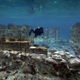 Illustration for article titled Once-Majestic Cities That Sank Beneath The Ocean